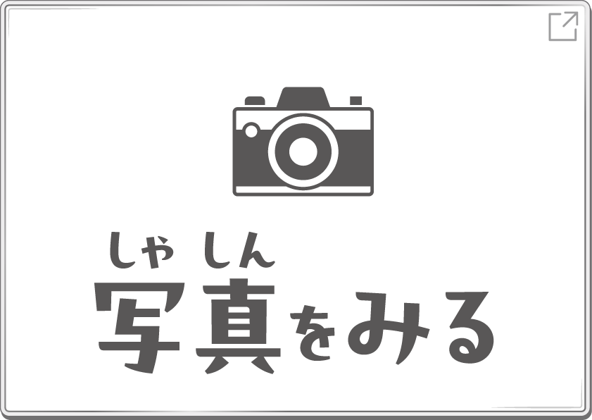 写真をみる